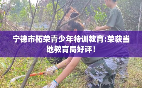 宁德市柘荣青少年特训教育:荣获当地教育局好评！