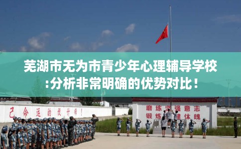 芜湖市无为市青少年心理辅导学校:分析非常明确的优势对比！