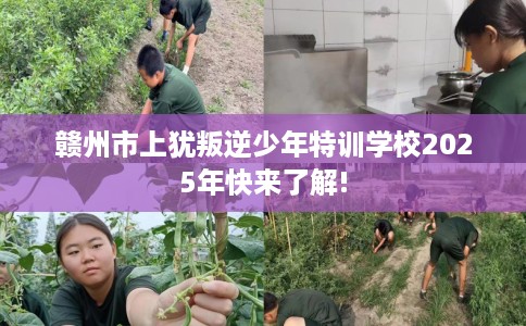 赣州市上犹叛逆少年特训学校2025年快来了解!