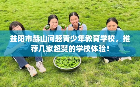 益阳市赫山问题青少年教育学校，推荐几家超赞的学校体验！
