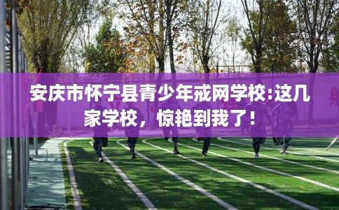 安庆市怀宁县青少年戒网学校:这几家学校，惊艳到我了！