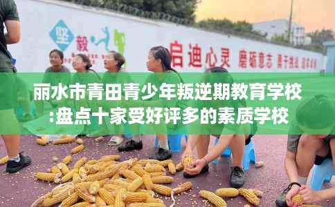 丽水市青田青少年叛逆期教育学校:盘点十家受好评多的素质学校