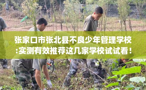 张家口市张北县不良少年管理学校:实测有效推荐这几家学校试试看！