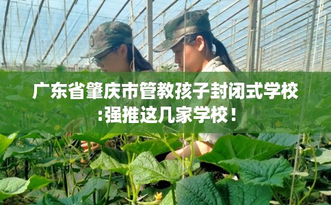 广东省肇庆市管教孩子封闭式学校:强推这几家学校! 广东省肇庆市管教孩子封闭式学校:强推这几家学校!
