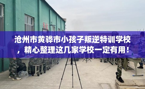 沧州市黄骅市小孩子叛逆特训学校，精心整理这几家学校一定有用！