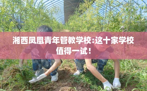 湘西凤凰青年管教学校:这十家学校值得一试！