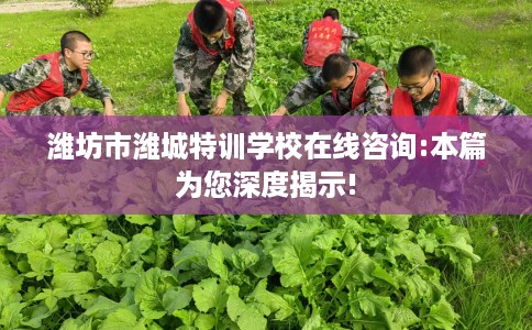 潍坊市潍城特训学校在线咨询:本篇为您深度揭示! 潍坊市潍城特训学校在线咨询:本篇为您深度揭示!
