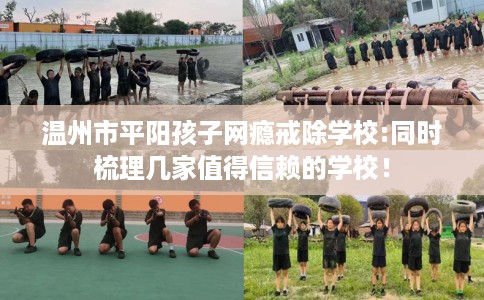 温州市平阳孩子网瘾戒除学校:同时梳理几家值得信赖的学校！