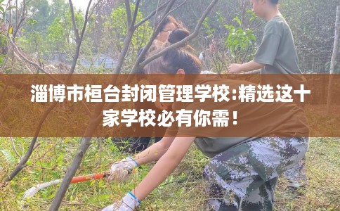 淄博市桓台封闭管理学校:精选这十家学校必有你需！