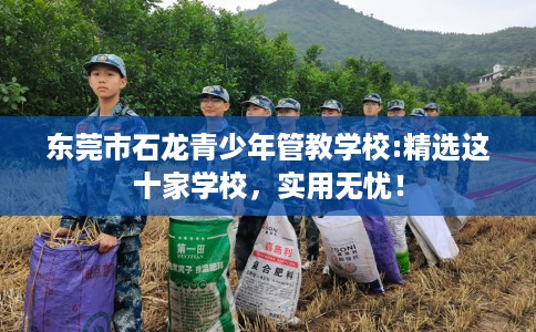 东莞市石龙青少年管教学校:精选这十家学校，实用无忧！