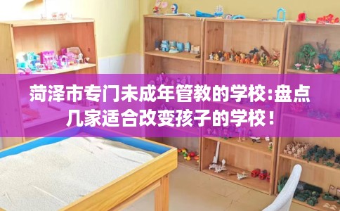 菏泽市专门未成年管教的学校:盘点几家适合改变孩子的学校！