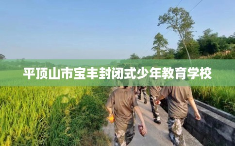 平顶山市宝丰封闭式少年教育学校
