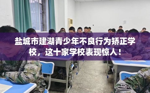 盐城市建湖青少年不良行为矫正学校，这十家学校表现惊人！