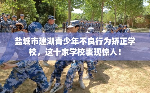 盐城市建湖青少年不良行为矫正学校，这十家学校表现惊人！