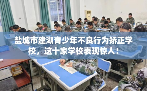 盐城市建湖青少年不良行为矫正学校，这十家学校表现惊人！