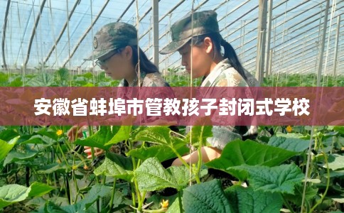 安徽省蚌埠市管教孩子封闭式学校