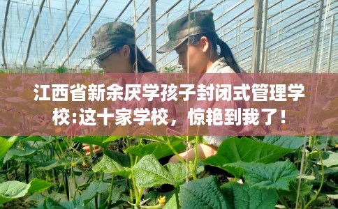 江西省新余厌学孩子封闭式管理学校:这十家学校，惊艳到我了！