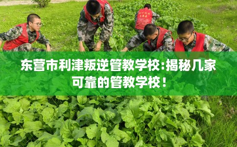 东营市利津叛逆管教学校:揭秘几家可靠的管教学校！