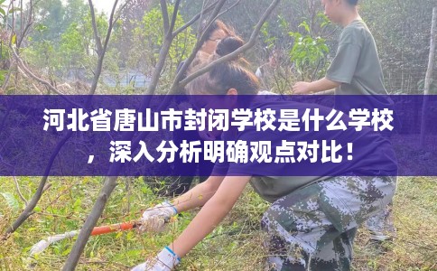 河北省唐山市封闭学校是什么学校,深入分析明确观点对比! 河北省唐山市封闭学校是什么学校,深入分析明确观点对比!