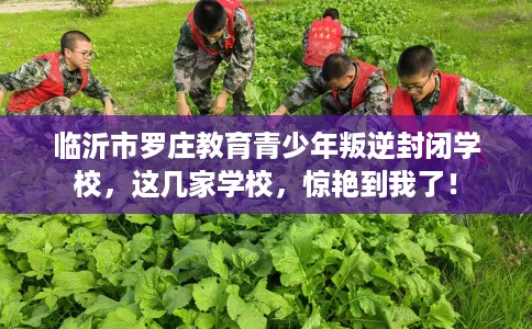 临沂市罗庄教育青少年叛逆封闭学校，这几家学校，惊艳到我了！