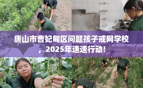 唐山市曹妃甸区问题孩子戒网学校,2025年速速行动! 唐山市曹妃甸区问题孩子戒网学校,2025年速速行动!