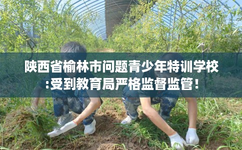 陕西省榆林市问题青少年特训学校:受到教育局严格监督监管！