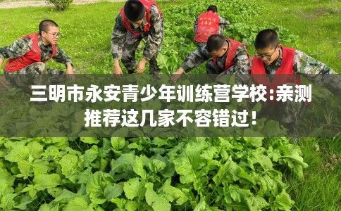 三明市永安青少年训练营学校:亲测推荐这几家不容错过! 三明市永安青少年训练营学校:亲测推荐这几家不容错过!