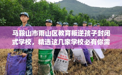 马鞍山市雨山区教育叛逆孩子封闭式学校，精选这几家学校必有你需！