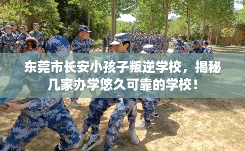 东莞市长安小孩子叛逆学校，揭秘几家办学悠久可靠的学校！