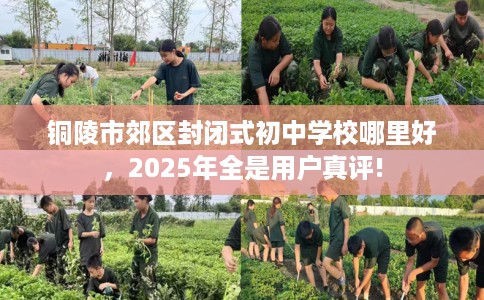 铜陵市郊区封闭式初中学校哪里好，2025年全是用户真评!