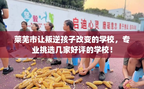 莱芜市让叛逆孩子改变的学校，专业挑选几家好评的学校！
