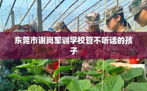 东莞市谢岗军训学校管不听话的孩子