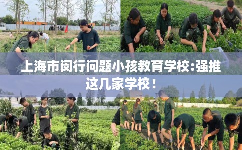 上海市闵行问题小孩教育学校:强推这几家学校！