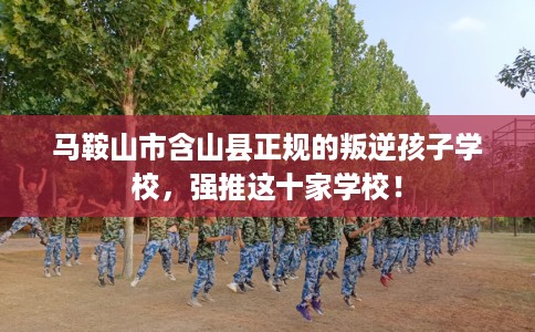 马鞍山市含山县正规的叛逆孩子学校,强推这十家学校! 马鞍山市含山县正规的叛逆孩子学校,强推这十家学校!