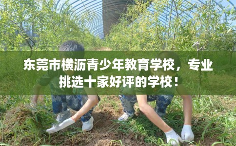 东莞市横沥青少年教育学校，专业挑选十家好评的学校！