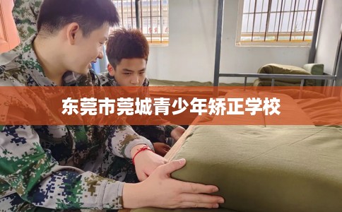 东莞市莞城青少年矫正学校