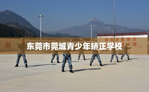 东莞市莞城青少年矫正学校