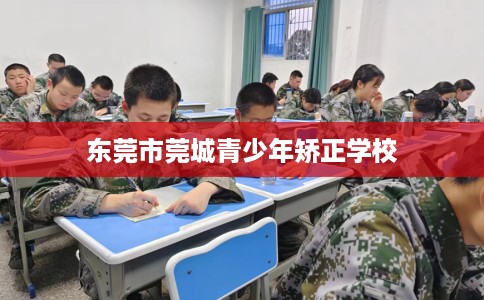 东莞市莞城青少年矫正学校