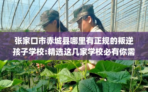 张家口市赤城县哪里有正规的叛逆孩子学校:精选这几家学校必有你需! 张家口市赤城县哪里有正规的叛逆孩子学校:精选这几家学校必有你需!