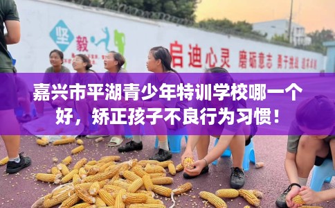 嘉兴市平湖青少年特训学校哪一个好,矫正孩子不良行为习惯! 嘉兴市平湖青少年特训学校哪一个好,矫正孩子不良行为习惯!