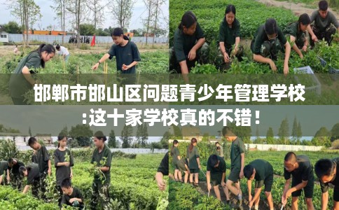 邯郸市邯山区问题青少年管理学校:这十家学校真的不错！