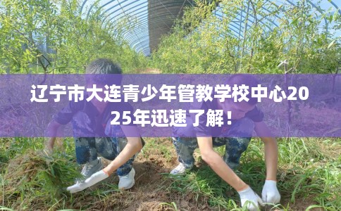 辽宁市大连青少年管教学校中心2025年迅速了解！