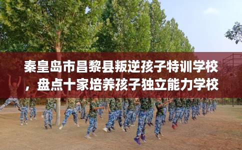 秦皇岛市昌黎县叛逆孩子特训学校，盘点十家培养孩子独立能力学校！