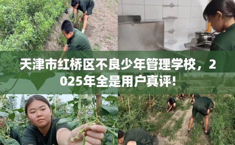 天津市红桥区不良少年管理学校，2025年全是用户真评!