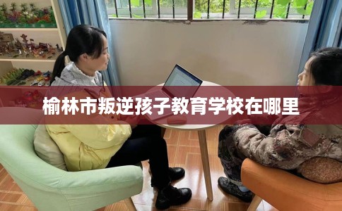 榆林市叛逆孩子教育学校在哪里