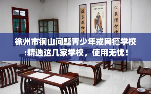徐州市铜山问题青少年戒网瘾学校:精选这几家学校，使用无忧！
