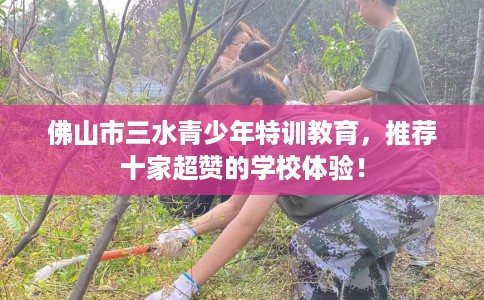 佛山市三水青少年特训教育，推荐十家超赞的学校体验！