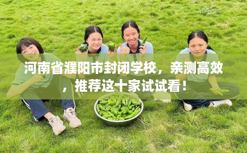 河南省濮阳市封闭学校，亲测高效，推荐这十家试试看！