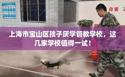 上海市宝山区孩子厌学管教学校，这几家学校值得一试！