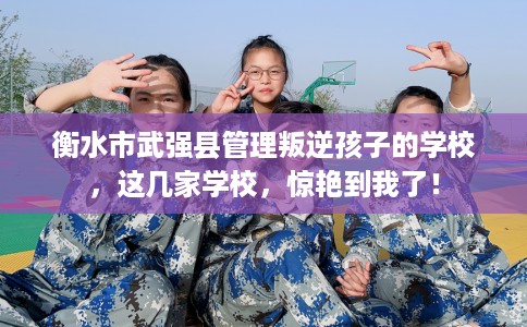 衡水市武强县管理叛逆孩子的学校,这几家学校,惊艳到我了! 衡水市武强县管理叛逆孩子的学校,这几家学校,惊艳到我了!